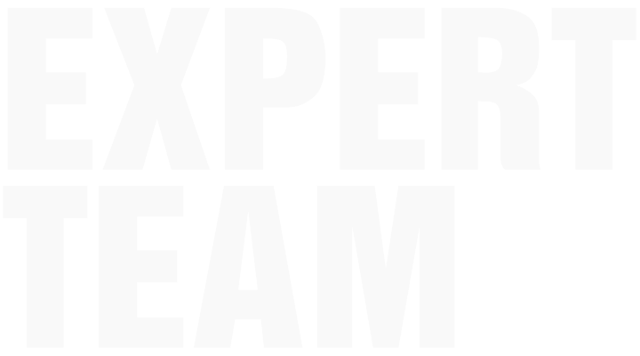 Professional Team
